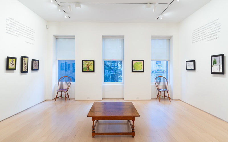 Alexandre Gallery